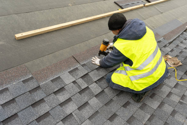 Best Local Roofing Companies  in Marine City, MI