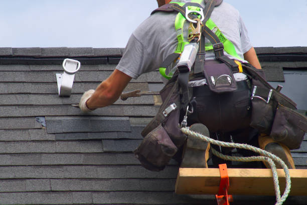 Best Roof Repair Services  in Marine City, MI