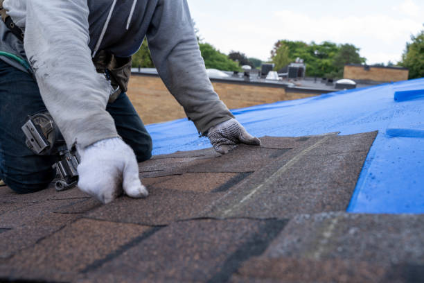 Best Commercial Roofing Services  in Marine City, MI