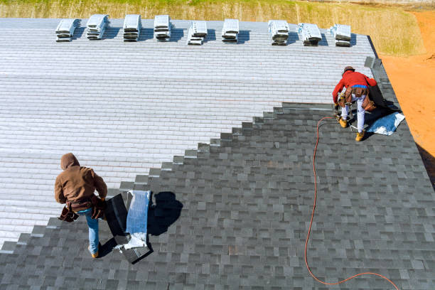 Best Roof Gutter Cleaning  in Marine City, MI