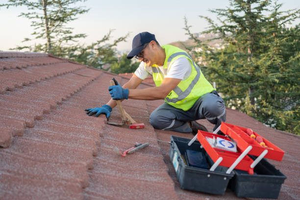 Best Roof Gutter Cleaning  in Marine City, MI
