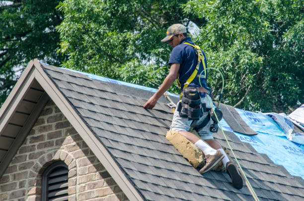 Best New Roof Installation  in Marine City, MI